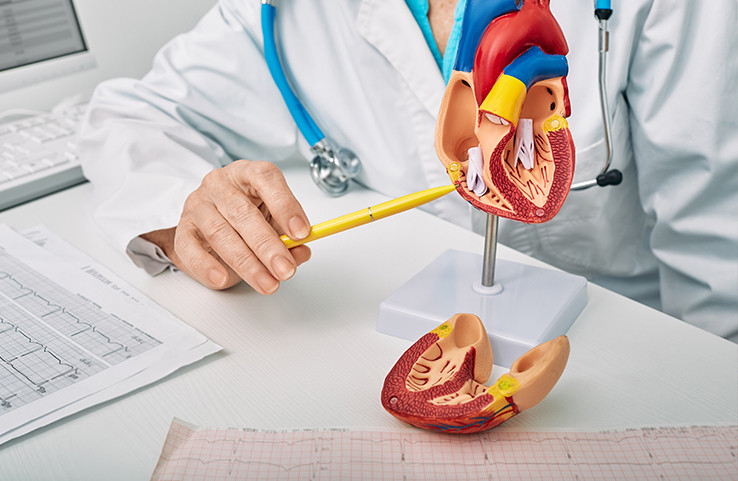 Doctor points to a heart model, explaining heart disease with ECGs nearby.