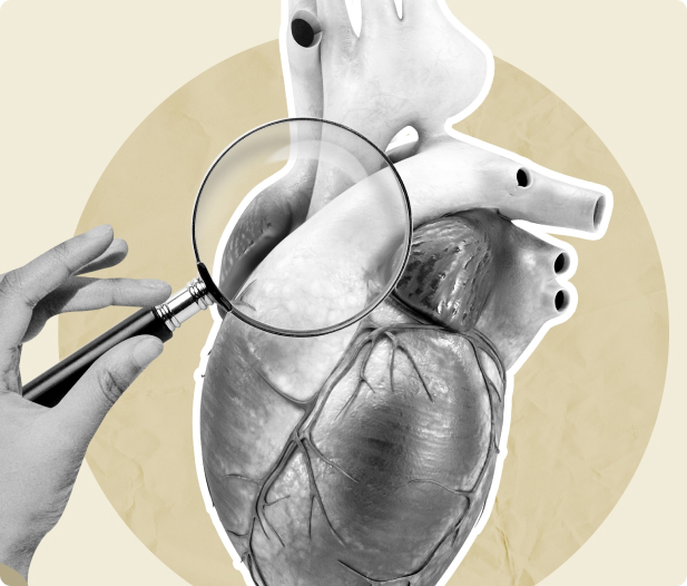 Heart doctor examining detailed anatomical heart illustration