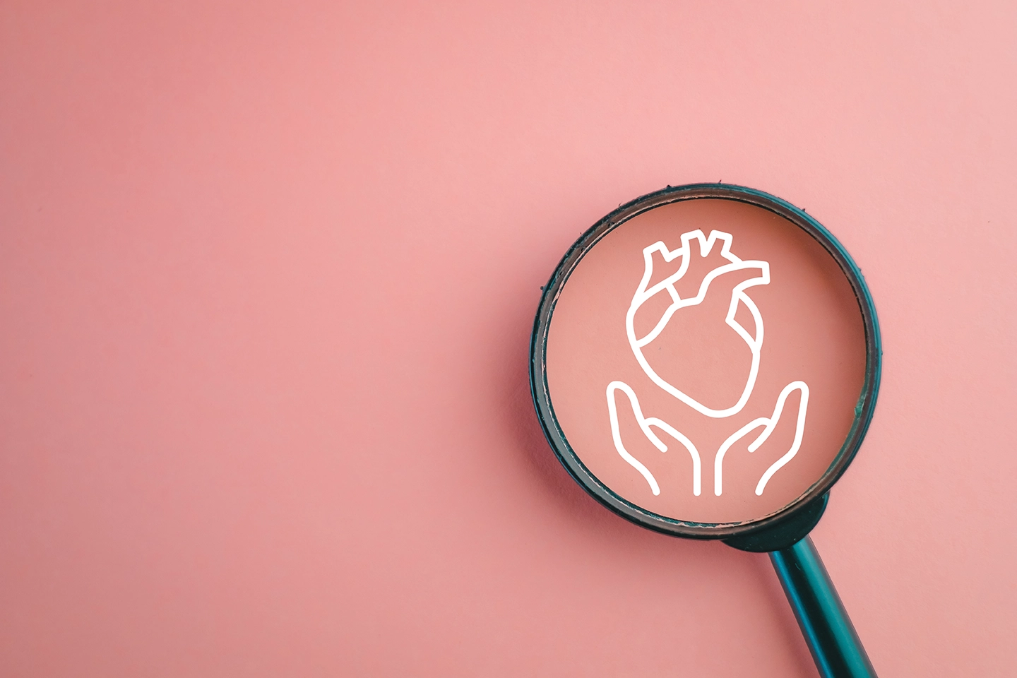 ECG vs. Echocardiogram: Which Heart Test Is Right for You?